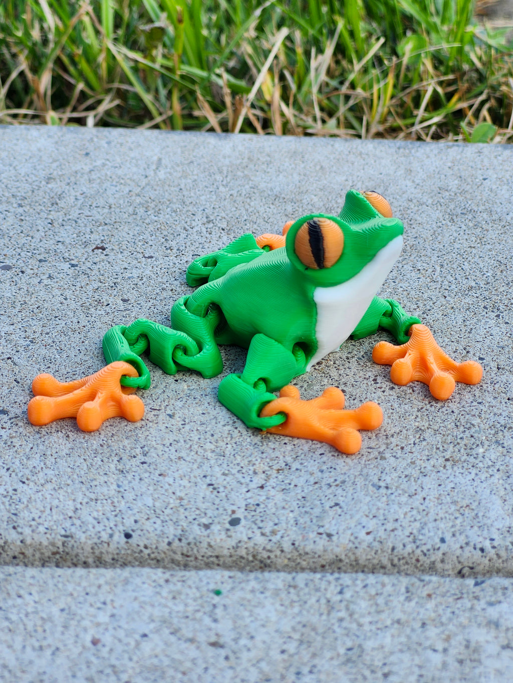 Articulated Tree Frog Fidget Toy
